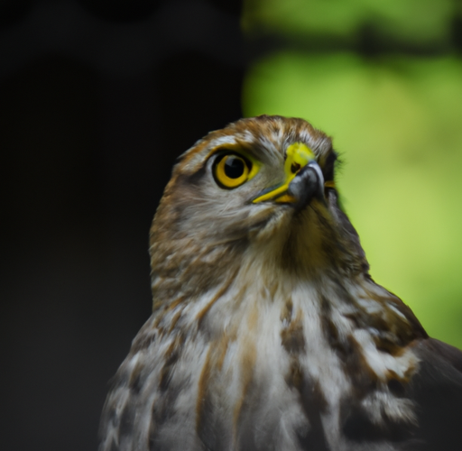 Komfortowa i wydajna sprzątania dzięki odkurzaczowi centralnemu Hawk