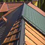 Jak zbudować ekologiczny dach ekstensywny?