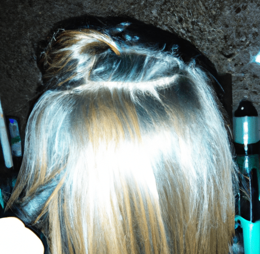 Jak pielęgnować fryzurę maltańczyka – porady dla właścicieli