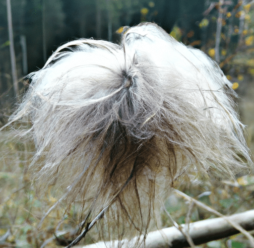 Jak wybrać idealną perukę z włosami naturalnymi?