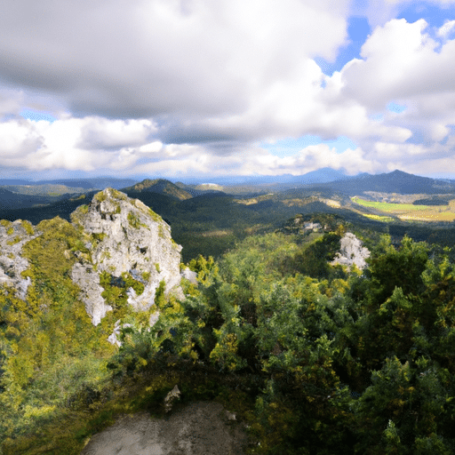 Jak wybrać odpowiednie okucia do okien - poradnik dla każdego