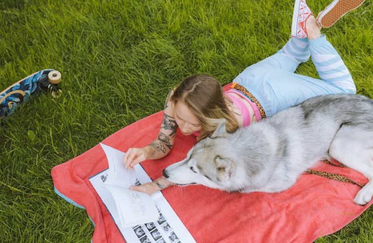 Pierwsze kroki w treningu samotności: Jak zapobiegać szczekaniu psa gdy zostaje sam