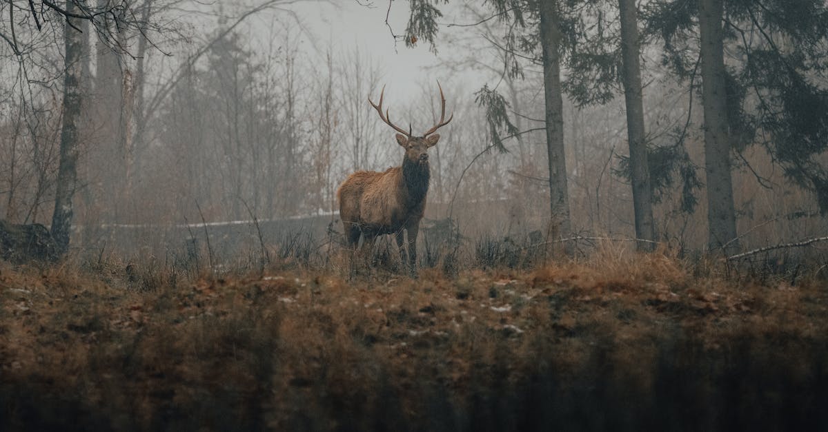 Poznaj atrakcje Poznania i ciesz się jego zmienną pogodą